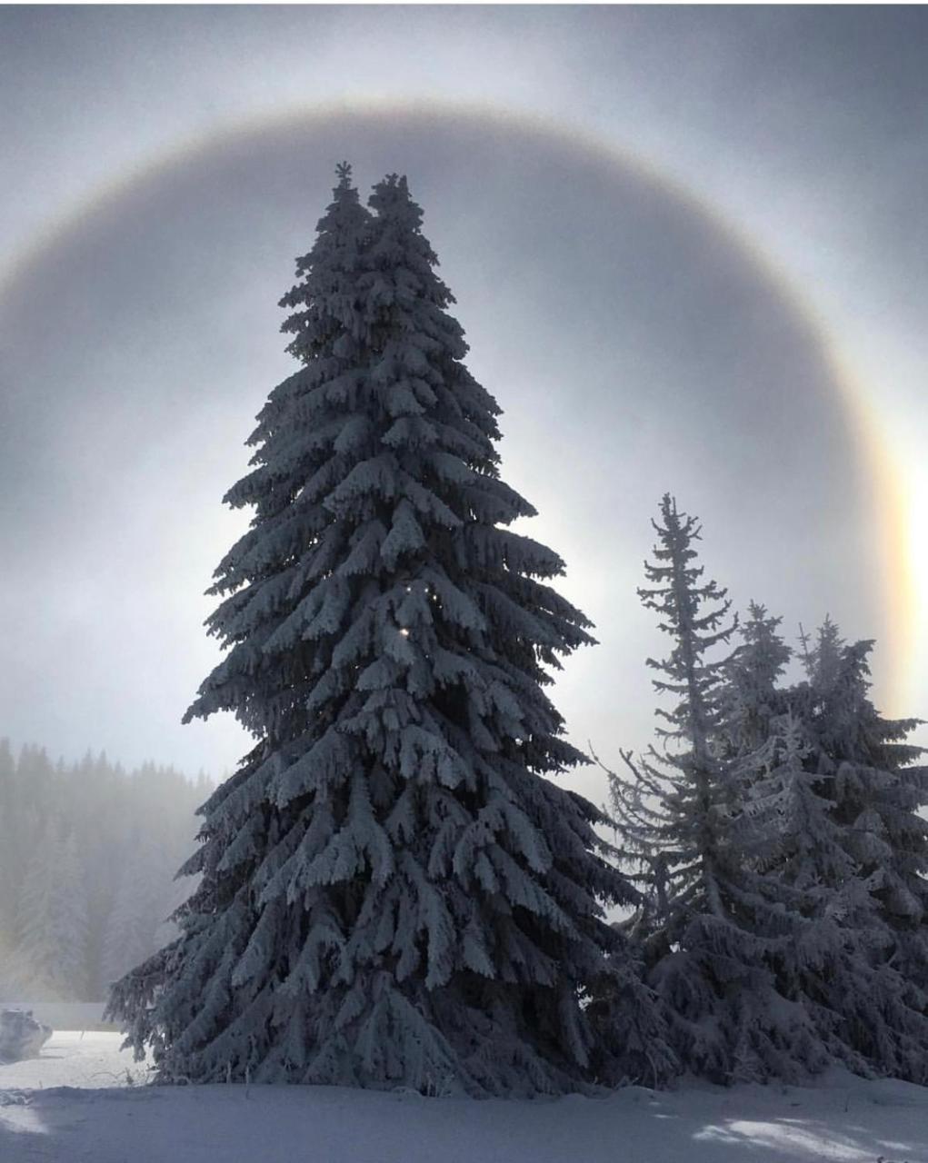 Silver Mountain Milmari Kopaonik Esterno foto