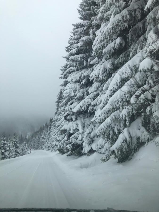 Silver Mountain Milmari Kopaonik Esterno foto